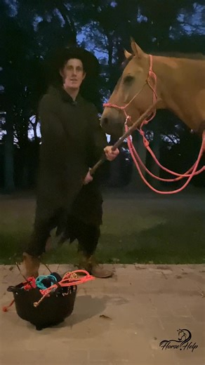 27 reactions | If potions, prayers, and patience all failed… 慄‍♀️ It's time for the Horse Help Halter. Even the Witch gave up her cauldron for it. Because calm horses aren’t created with magic, they’re built with trust. ✅ Soft cues that make sense. ✅ Fits any horse, guaranteed. ✅ Used by expert trainers, not sorcerers. This Halloween, skip the spells. Ride calm instead.  | Horse Help With Michael Gascon | Facebook