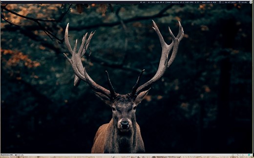 archlinux系统下i3桌面美化方法和编程环境搭建教程！