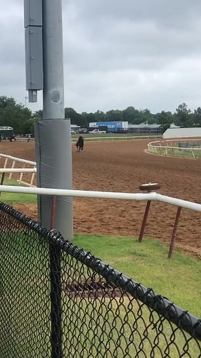 Talk about give you chills 6853139808764562694 #foryo... #racehorse #quaterhorse #smokinfast | Alyssa Timms