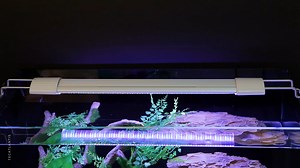 EASY LED UNIVERSAL 2.0 light units with 2 independent light channels available for freshwater and saltwater. Find out all the advantages of these lamps if used with the Luminus – Smart LED Controller. #aquatlantisaquarium #aquatlantis #tecatlantis #aquariums #fishtanks #ledlighting #lightingforaquariums #freshwaterlighting #saltwaterlighting #ledlightunits #ledlamps #highqualityledlighting #luminus #luminussmartledcontroller #smartledcontroller #leddimmer #ledcontroller | Aquatlantis Aquarium