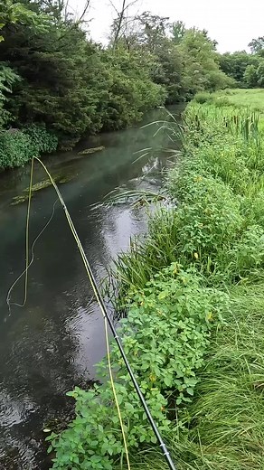 2.1M views · 10K reactions | You can’t reach for what’s in front of you until you let go of everything behind you. : Mossy Creek Fly Fishing #ReachCast #Presentation #HumpDay #MossyCreek #ShopLocal#FishItWell #SimmsFishing #SpringCreek #DryFlyFishing #FlyFishing #Fishing #Community #FlyTying #Gear #Local #Grassroots #People #Conservation #Events #FishingGuide #SupportLocal #Stories #StoryTelling | Simms Fishing Products | Facebook