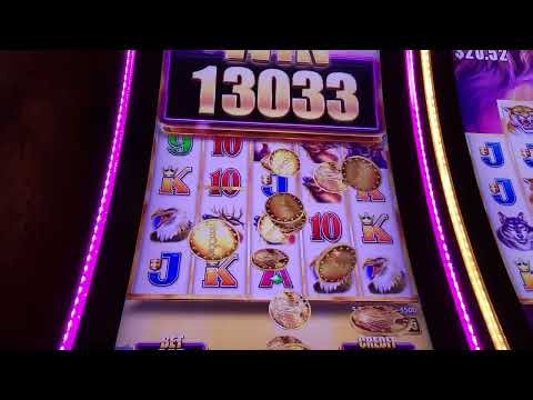 BUFFALO GRAND AWESOME WIN!!!