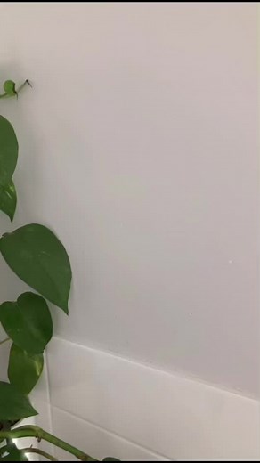 make your own face mask out of paper towel, i love this cheap, soothing method