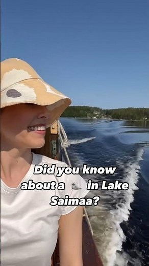 The MOST endangered Finnish animal🦭 #finland
