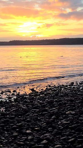 The natural soft sounds of sunrise at Point Hudson Port Townsend, Washington. This would make a wonderful morning alarm to wakeup to | Good Dad Bad Man