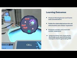 Cellular Respiration (Principles): Measure energy consumption during exercise | Virtual Lab