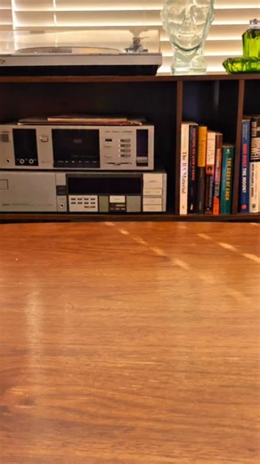 Use code BLKNOV20 to save 20% off your order 🪴 #oddnot #growkit #uniquegifts | Oddities Not Commodities