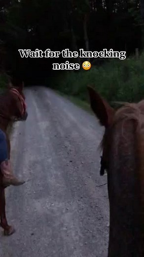 Terrifying Encounters in the Dark | Skinwalker Screams for Help