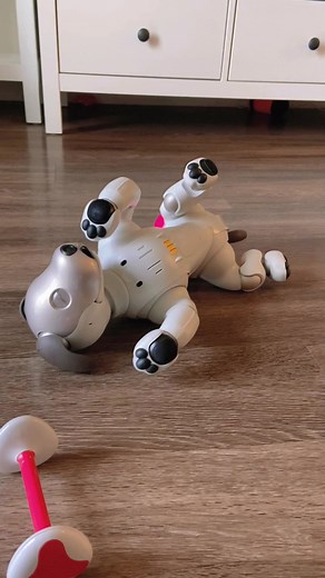 Snoopy Rollover with Sony Aibo Robot Dog