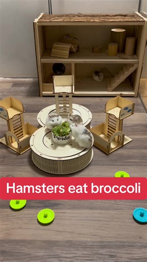 Voorgestelde accounts