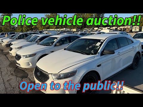 Government surplus auction and seized vehicles
