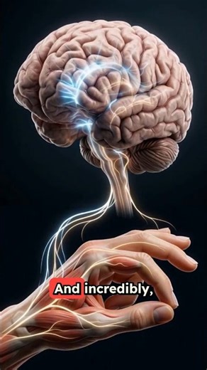 How Your Brain Actually Works 🧠 | Inside the Human Body#WoowHoow #wowhow