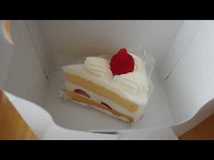 Room Tour of Karatsu Seaside Hotel West Wing