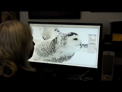 Tracking Snowy Owls and Processing Files when we return from a long day Lightroom Photoshop Topaz