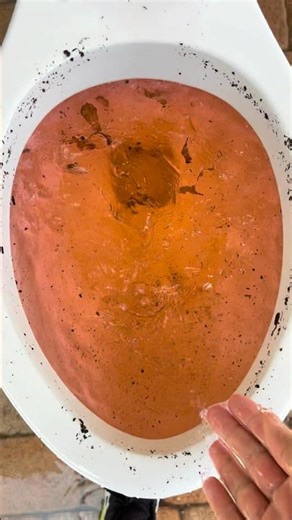 Aquasource Henshaw toilet siphoning out with light orange/light red water!!!