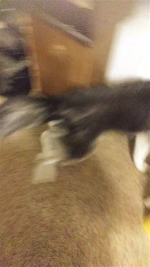 This silly but it's a precious memory | Pink Anderson