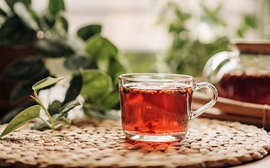 Don’t Toss That Avocado Seed! Use It To Brew Up a Delicious, Heart-Healthy   Slimming Tea