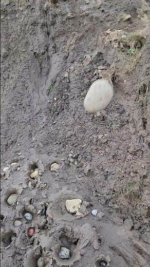 Splosh into mud! Stone throw to mud! #mudstonethrow