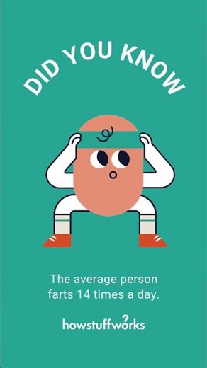 Every Person Passes Gas