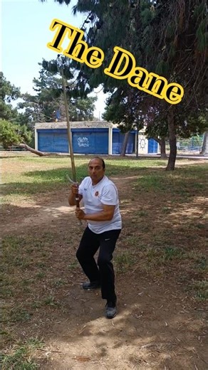 The Dane (2handed Sword) Mail: g_e_georgas@yahoo.gr #fencing #twohandedsword #TheDane #hema