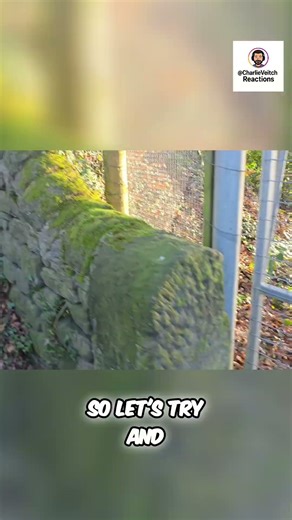 Sneaking Into Restricted Areas: A Bold Adventure! #shorts