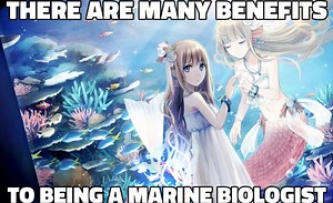 There Are Many Benefits To Being A Marine Biologist | Know Your Meme