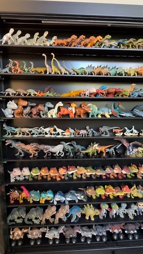 Dan Surprise on Instagram: "I did this not too long ago but with all the new additions I had to do it again. Spent four hours on a Saturday taking down every single mini dinosaur to reorganise the shelves. At first I felt that familiar regret. The mess, the hours ahead, the quiet fear of doing it all over again. But piece by piece it started to come together. Now they sit there neatly, like they are part of a quiet little dance. It is calm, it is satisfying, and it just feels right. More videos