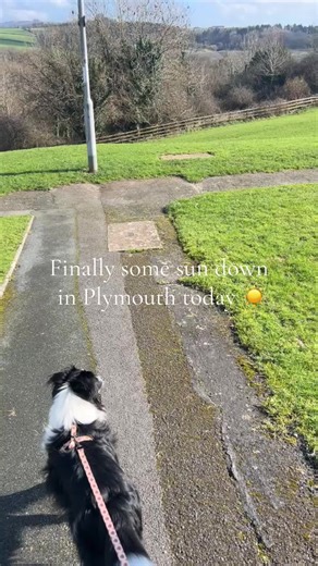 We’ve had some long awaited sunshine in Plymouth today ☀️ #plymouth #dogwalk