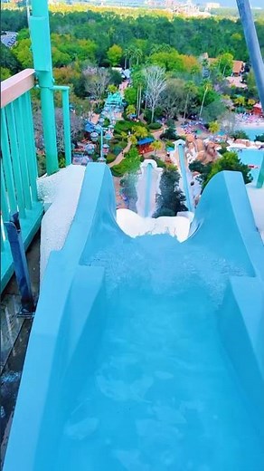 Summit Plummet at Disney’s Blizzard Beach! #disney #blizzardbeach #waterslide