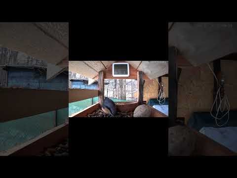 bird Federer... ptáci v Česku