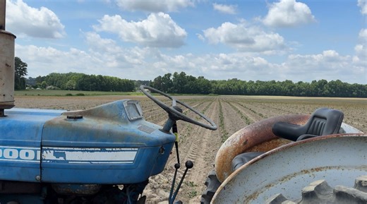 NC Senate passes Farm Act set to make sweeping changes to agricultural industry
