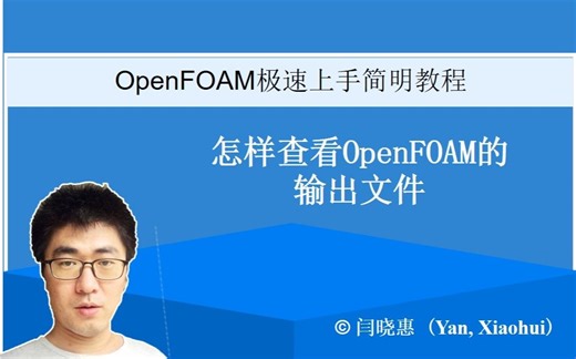 OpenFOAM#a07：怎样查看OpenFoam的输出文件 | OpenFOAM极速上手简明教程#07