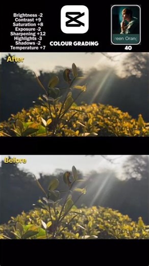 Color Grading Tutorial: Cinematic Nature Look | CapCut