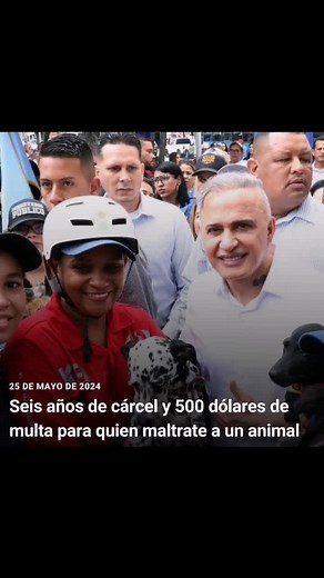 Penas de cárcel por zoofilia en nueva ley de animales de compañía