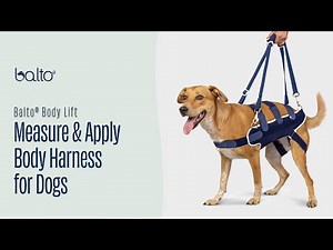 How To Measure and Apply a Full Body Brace on A Dog