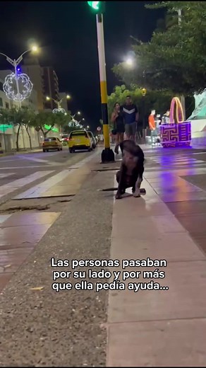 151K views · 10K reactions | Sí, hallamos una flor en el camino. Esa...