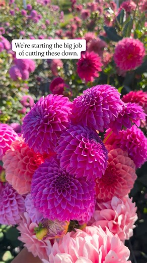 1.4K reactions · 28 shares | Quite a few people were surprised I...