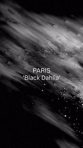 Closing out the Labyrinth album spotlight series with ‘Black Dahlia’ - A dark and driving moment shaped by the haunting feeling of despair. Thank u for joining me on this journey into the Labyrinth 🖤 | PARIS - AU