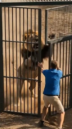“Lion Charged… He Had Only 1 Second 😱🦁”