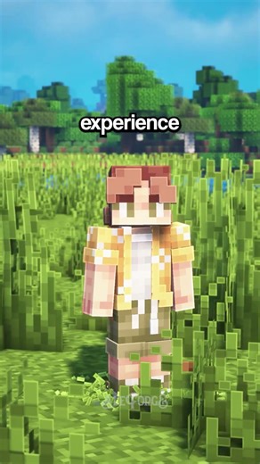 Fix Minecraft Server Lag with Chunk Pregeneration