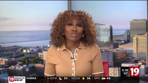 Help name the new sloth bear cub at the Cleveland Metroparks Zoo