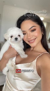  Meet Nicco - My Realistic Robot Puppy, the perfect companion for...