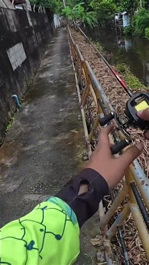 Change the action, reduce paranoia #fishing #snakeheadfishing