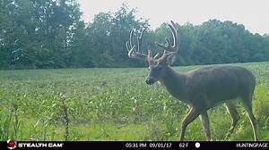 Stealth Cam NEW DS4K Camera is the only 4k trail camera video on the Market and has amazing battery life and 30 megapixels resolution! with Hunting | Outdoors on Outsider