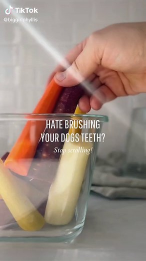 Homemade Frozen Carrot Treats for Dog's Teeth Cleaning