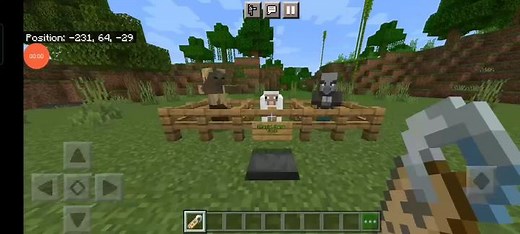 Special Names Minecraft