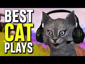 The best cat plays you'll ever see in Fortnite