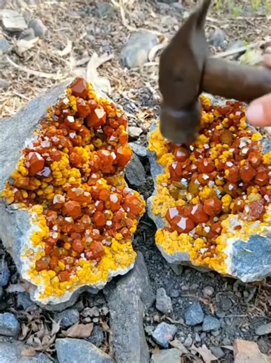 today very rare jasper crystals discovered today unbelievable