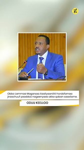 505K views · 10K reactions | Kello Media on Reels | Facebook