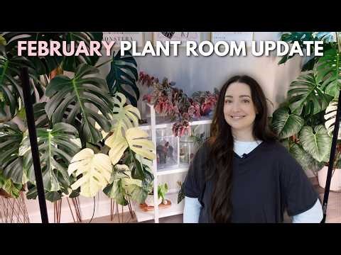 Recent Changes In My Plant Room 🌿 Some Chops & Rearranging